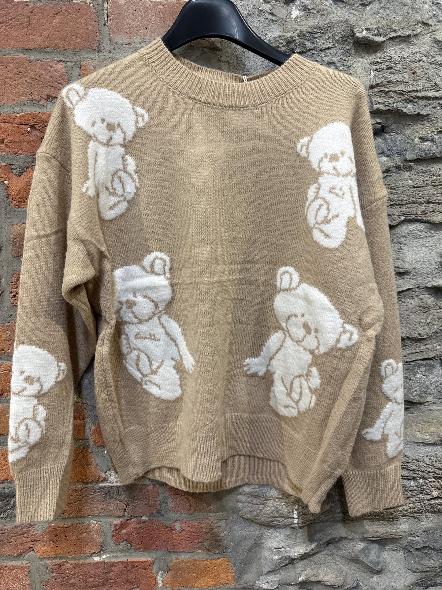 LS- 11013 Pull Teddy