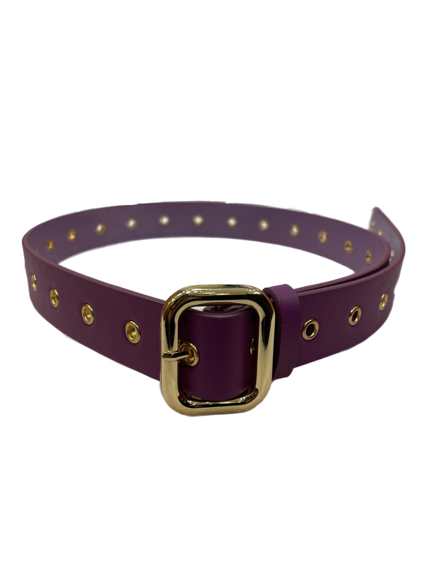 AM- 2501 Ceinture