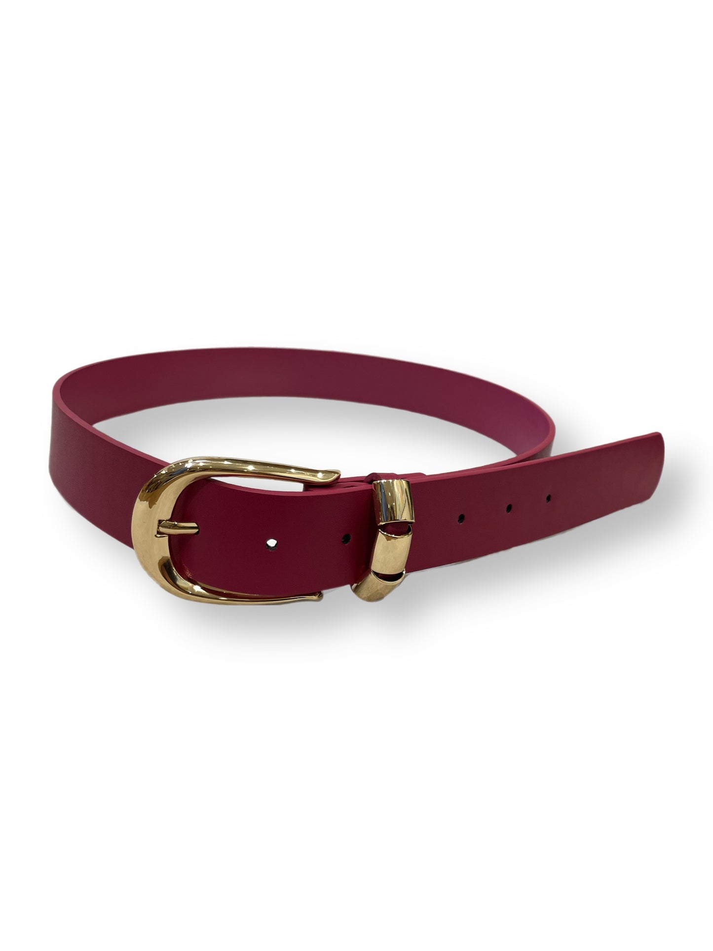 AM- 2500 Ceinture