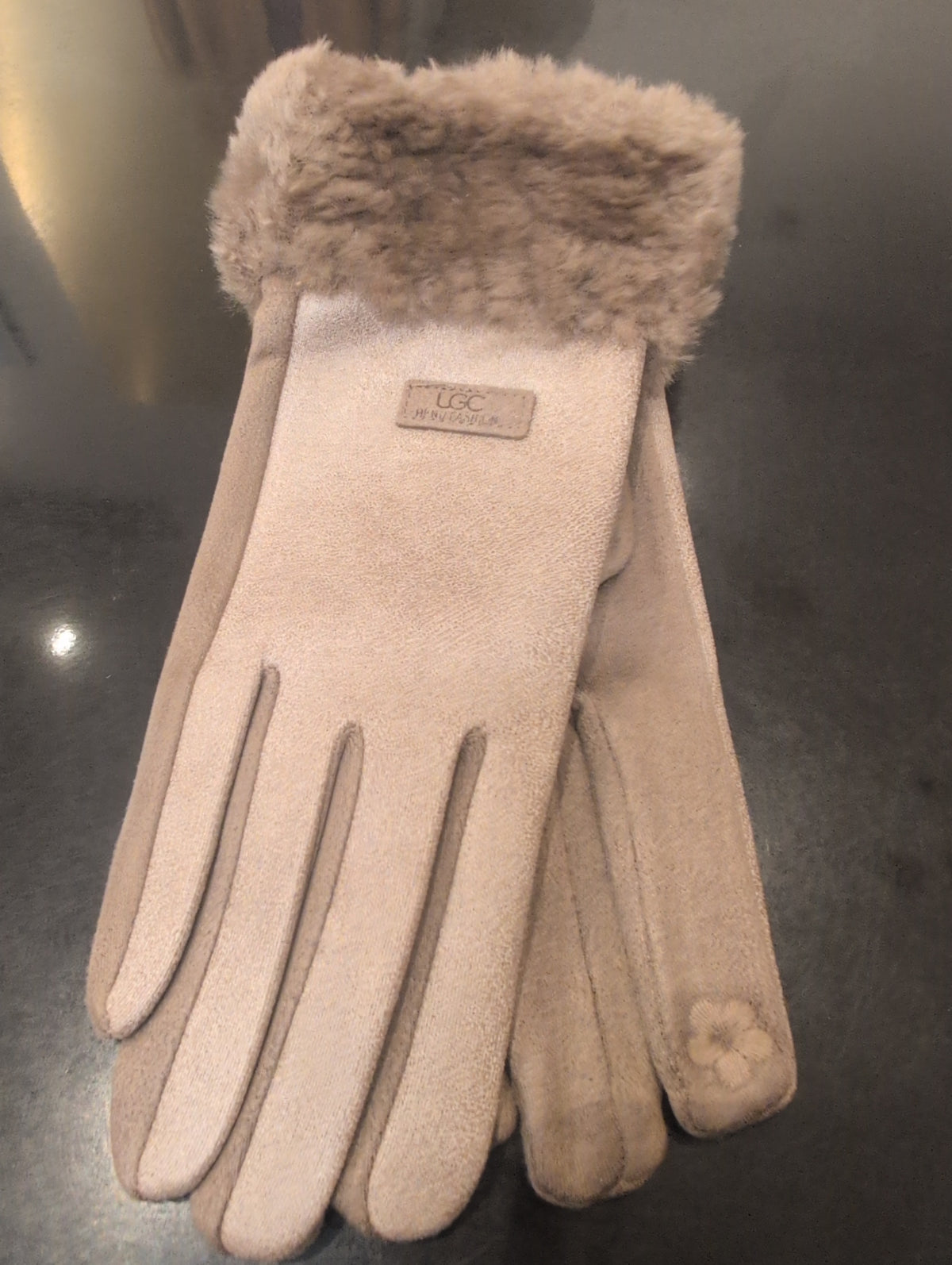 GR-ZS96 Gants